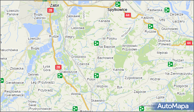 mapa Bachowice, Bachowice na mapie Targeo