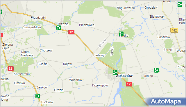 mapa Bielawy gmina Gołuchów, Bielawy gmina Gołuchów na mapie Targeo