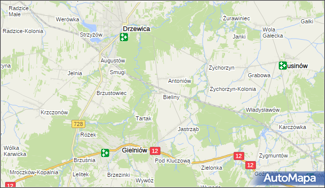 mapa Bieliny gmina Gielniów, Bieliny gmina Gielniów na mapie Targeo