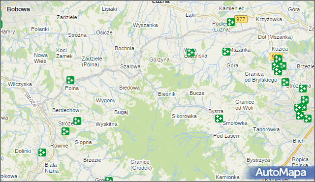 mapa Bieśnik gmina Łużna, Bieśnik gmina Łużna na mapie Targeo