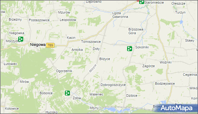 mapa Bliżyce gmina Niegowa, Bliżyce gmina Niegowa na mapie Targeo