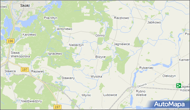 mapa Bliżyce gmina Skoki, Bliżyce gmina Skoki na mapie Targeo