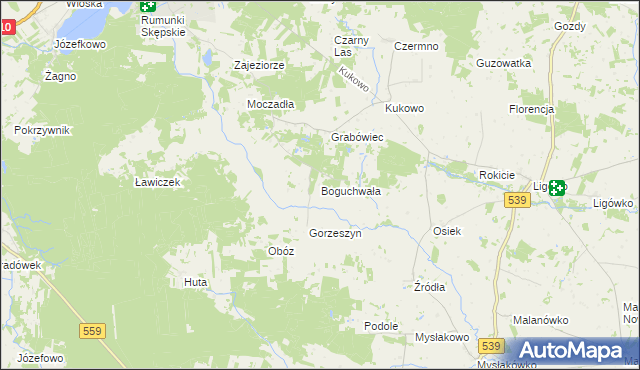 mapa Boguchwała gmina Skępe, Boguchwała gmina Skępe na mapie Targeo