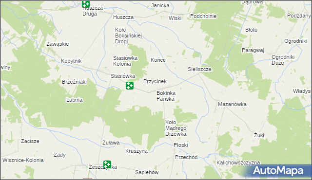 mapa Bokinka Pańska, Bokinka Pańska na mapie Targeo