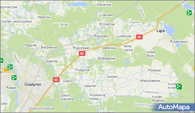 mapa Bolesławów gmina Gostynin, Bolesławów gmina Gostynin na mapie Targeo