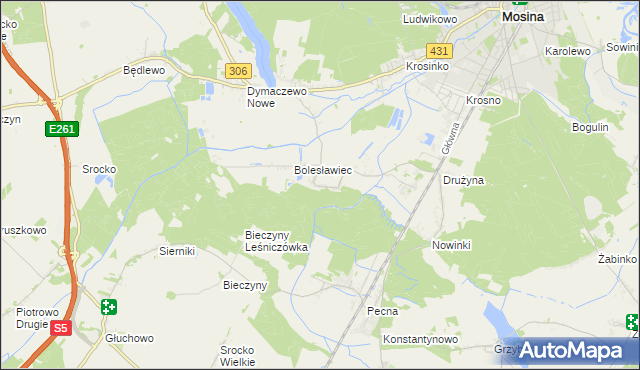 mapa Borkowice gmina Mosina, Borkowice gmina Mosina na mapie Targeo