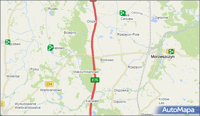 mapa Borkowo gmina Morzeszczyn, Borkowo gmina Morzeszczyn na mapie Targeo