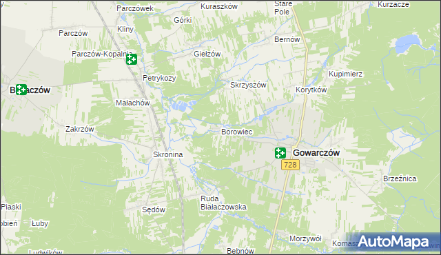 mapa Borowiec gmina Gowarczów, Borowiec gmina Gowarczów na mapie Targeo