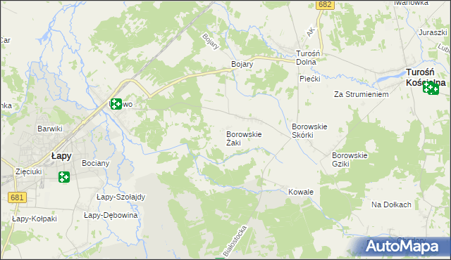 mapa Borowskie Żaki, Borowskie Żaki na mapie Targeo