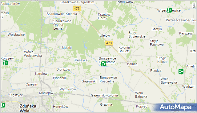 mapa Borszewice Cmentarne, Borszewice Cmentarne na mapie Targeo