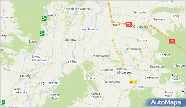 mapa Borzewisko gmina Poddębice, Borzewisko gmina Poddębice na mapie Targeo