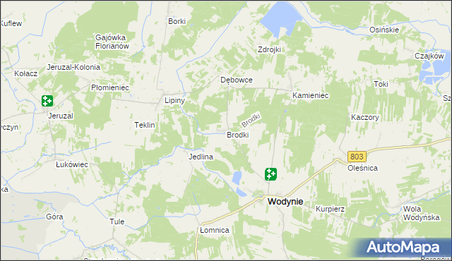 mapa Brodki gmina Wodynie, Brodki gmina Wodynie na mapie Targeo