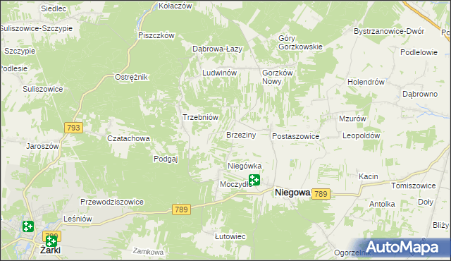 mapa Brzeziny gmina Niegowa, Brzeziny gmina Niegowa na mapie Targeo