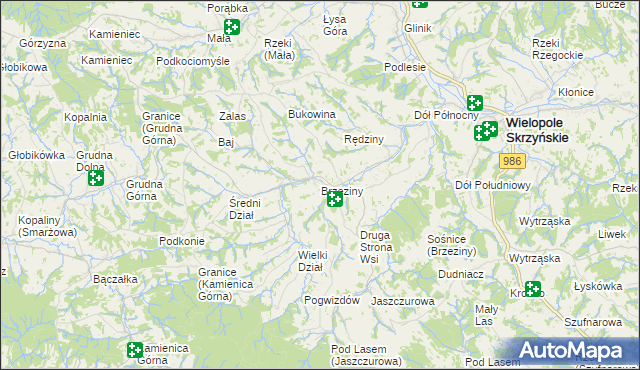 mapa Brzeziny gmina Wielopole Skrzyńskie, Brzeziny gmina Wielopole Skrzyńskie na mapie Targeo