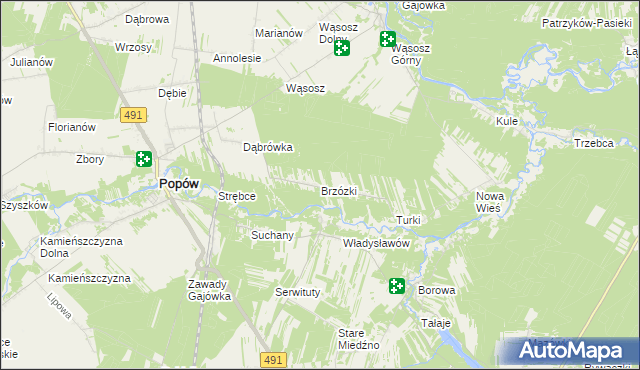 mapa Brzózki gmina Popów, Brzózki gmina Popów na mapie Targeo