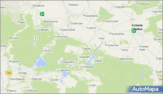 mapa Cadów, Cadów na mapie Targeo