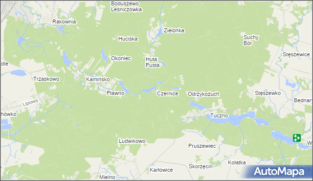 mapa Czernice gmina Murowana Goślina, Czernice gmina Murowana Goślina na mapie Targeo