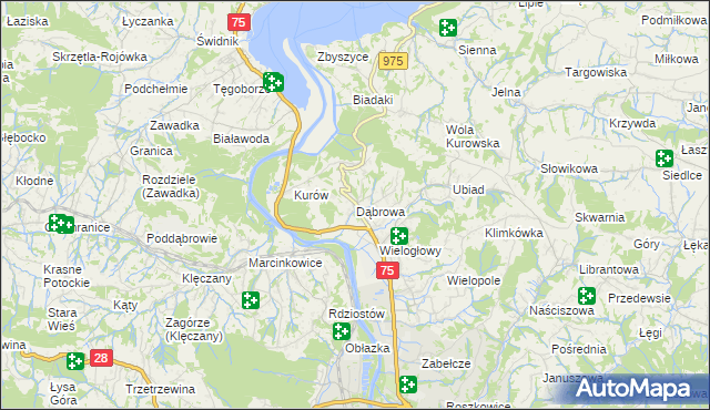 mapa Dąbrowa gmina Chełmiec, Dąbrowa gmina Chełmiec na mapie Targeo