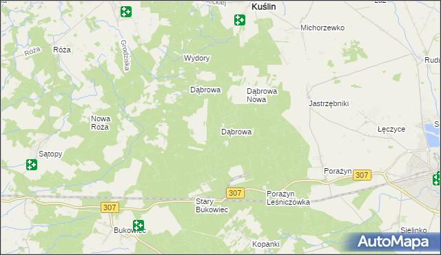 mapa Dąbrowa gmina Opalenica, Dąbrowa gmina Opalenica na mapie Targeo