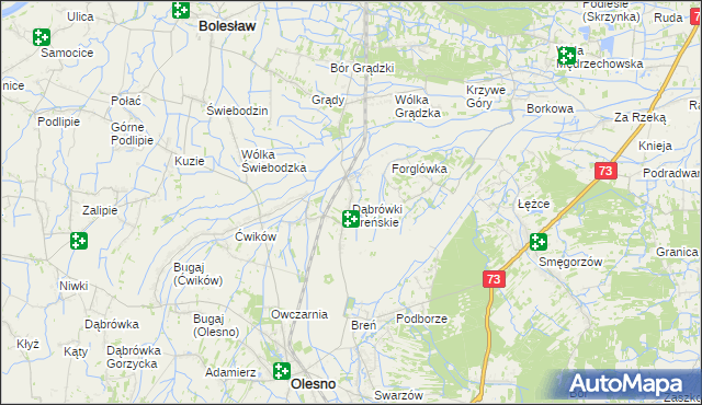 mapa Dąbrówki Breńskie, Dąbrówki Breńskie na mapie Targeo