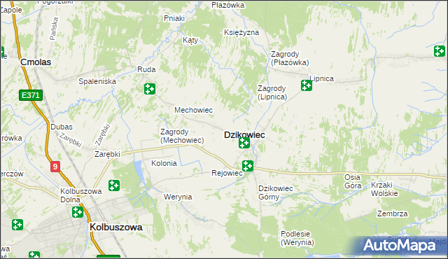 mapa Dzikowiec powiat kolbuszowski, Dzikowiec powiat kolbuszowski na mapie Targeo
