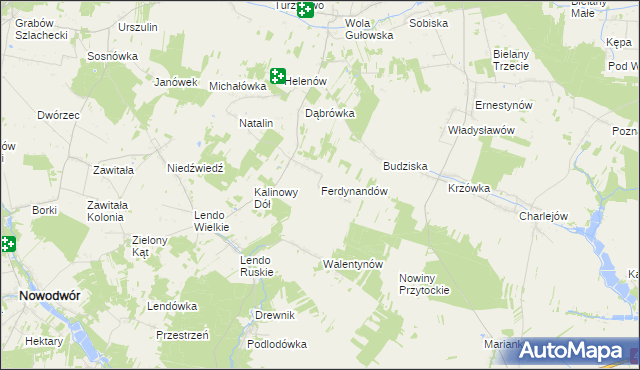 mapa Ferdynandów gmina Adamów, Ferdynandów gmina Adamów na mapie Targeo