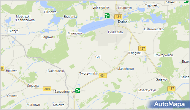 mapa Gaj gmina Gostyń, Gaj gmina Gostyń na mapie Targeo