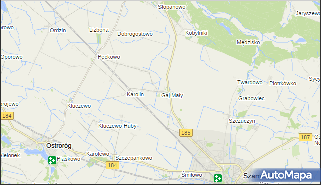 mapa Gaj Mały gmina Obrzycko, Gaj Mały gmina Obrzycko na mapie Targeo