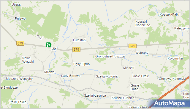 mapa Gronostaje-Puszcza, Gronostaje-Puszcza na mapie Targeo