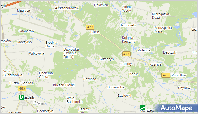 mapa Grzeszyn gmina Buczek, Grzeszyn gmina Buczek na mapie Targeo