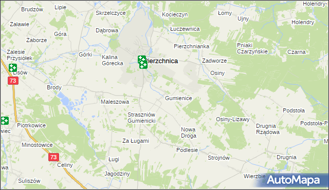 mapa Gumienice gmina Pierzchnica, Gumienice gmina Pierzchnica na mapie Targeo