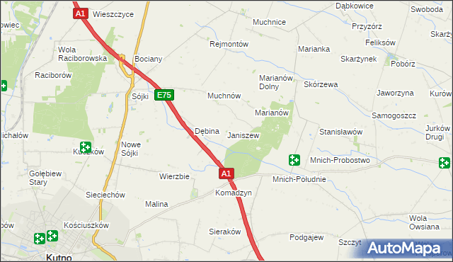 mapa Janiszew gmina Strzelce, Janiszew gmina Strzelce na mapie Targeo