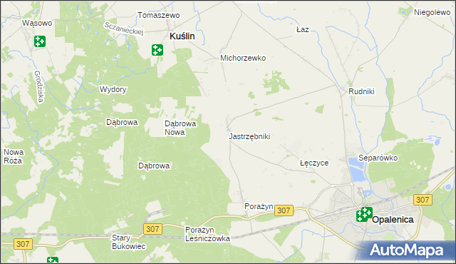 mapa Jastrzębniki gmina Opalenica, Jastrzębniki gmina Opalenica na mapie Targeo