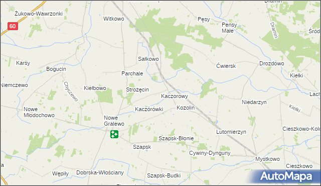 mapa Kaczorowy, Kaczorowy na mapie Targeo