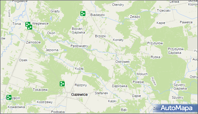 mapa Kaźmirów, Kaźmirów na mapie Targeo