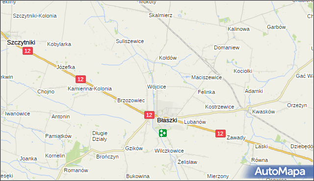 mapa Kokoszki gmina Błaszki, Kokoszki gmina Błaszki na mapie Targeo