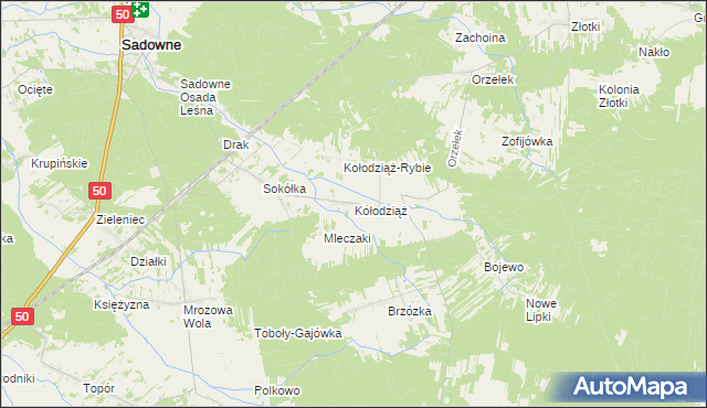 mapa Kołodziąż gmina Sadowne, Kołodziąż gmina Sadowne na mapie Targeo