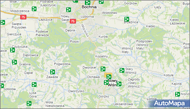 mapa Kopaliny gmina Nowy Wiśnicz, Kopaliny gmina Nowy Wiśnicz na mapie Targeo