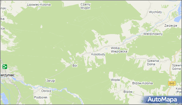 mapa Kosobudy gmina Zwierzyniec, Kosobudy gmina Zwierzyniec na mapie Targeo