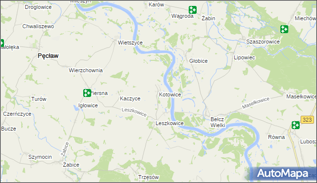 mapa Kotowice gmina Pęcław, Kotowice gmina Pęcław na mapie Targeo