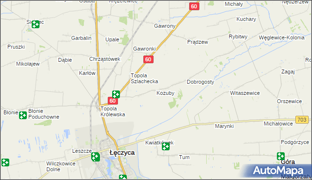 mapa Kozuby gmina Łęczyca, Kozuby gmina Łęczyca na mapie Targeo