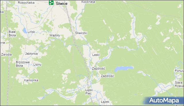 mapa Laski gmina Śliwice, Laski gmina Śliwice na mapie Targeo