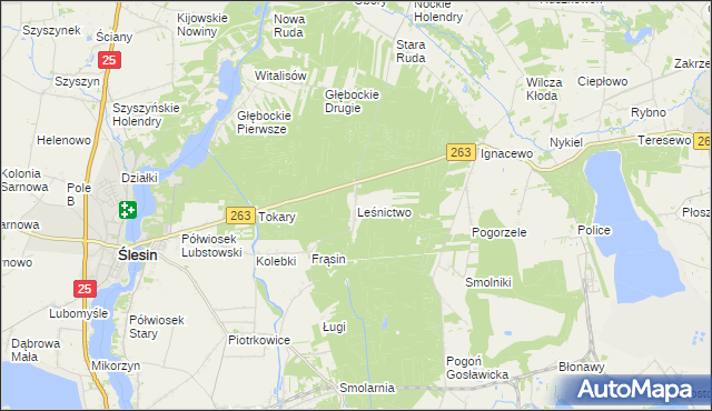 mapa Leśnictwo gmina Ślesin, Leśnictwo gmina Ślesin na mapie Targeo