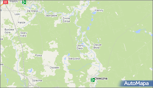 mapa Leśny Dwór gmina Osieczna, Leśny Dwór gmina Osieczna na mapie Targeo