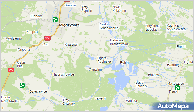 mapa Ligota Rybińska, Ligota Rybińska na mapie Targeo