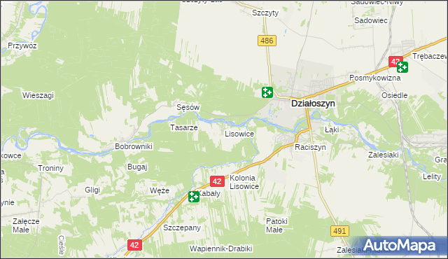 mapa Lisowice gmina Działoszyn, Lisowice gmina Działoszyn na mapie Targeo