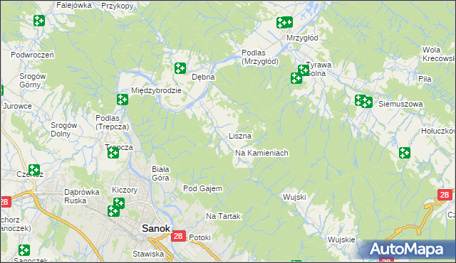 mapa Liszna gmina Sanok, Liszna gmina Sanok na mapie Targeo