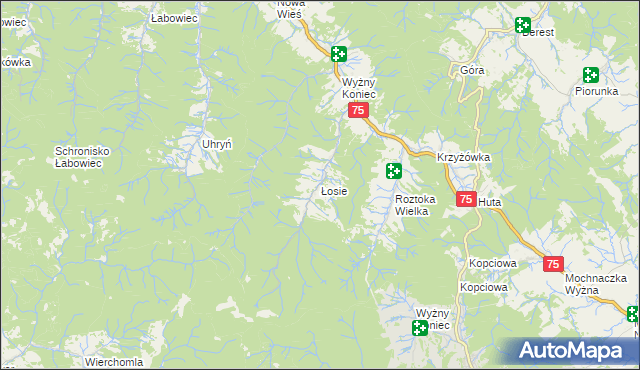 mapa Łosie gmina Łabowa, Łosie gmina Łabowa na mapie Targeo