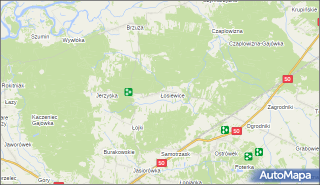 mapa Łosiewice, Łosiewice na mapie Targeo