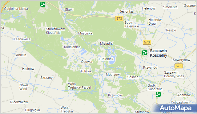 mapa Lubieniek, Lubieniek na mapie Targeo